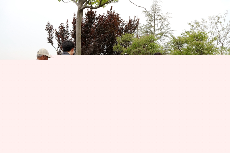 906A7625.jpg