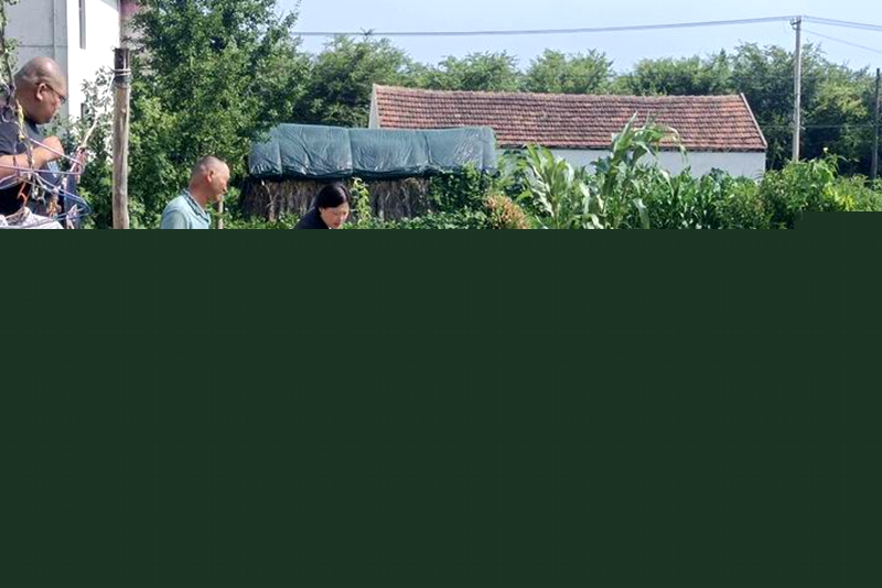 法官頂著烈日在田間測量流轉土地.jpg