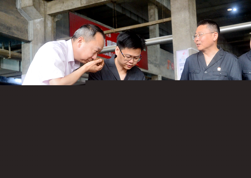 韓俊院長到企業(yè)調(diào)研 - 副本.jpg