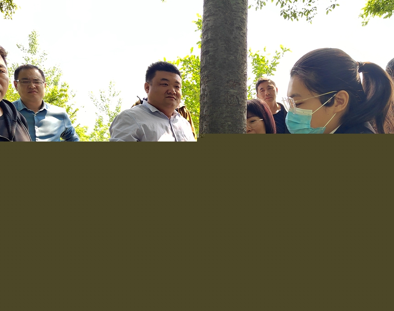 測量果木周長.jpg