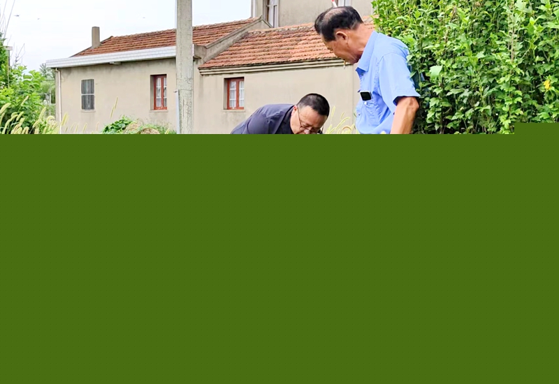 法官在田間現(xiàn)場丈量爭議土地.jpg