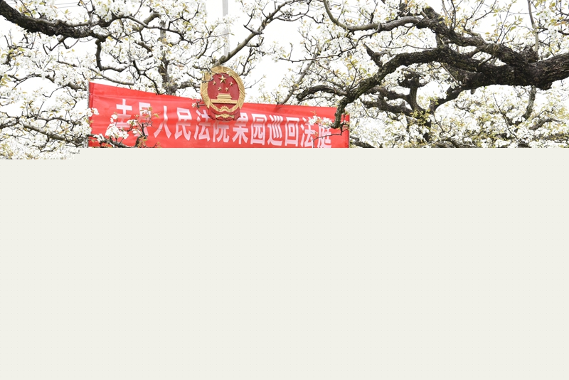 ④果品損壞糾紛案調解現場，法官對當事人釋法析理。.jpg