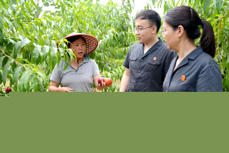 果香深處1——趙帥攝.jpg