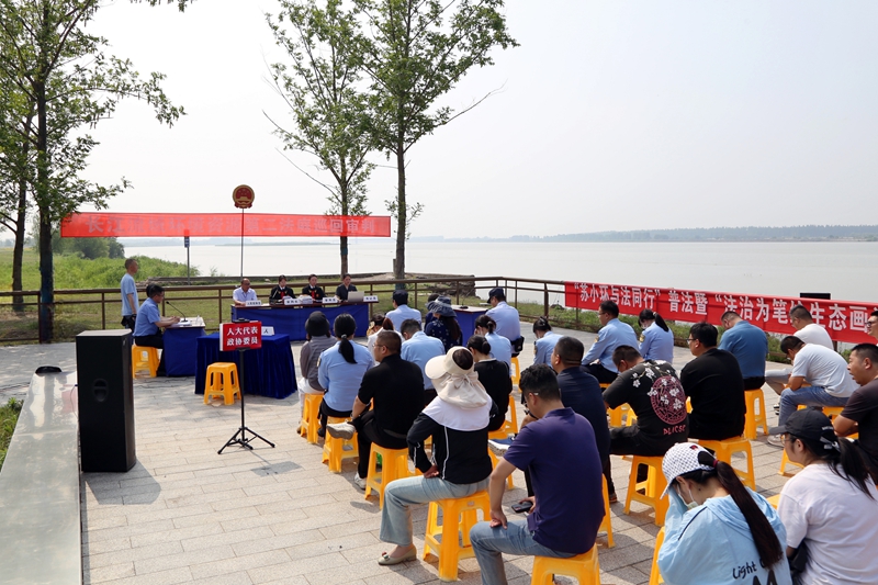 1.巡回審理一起盜伐林木案.jpg
