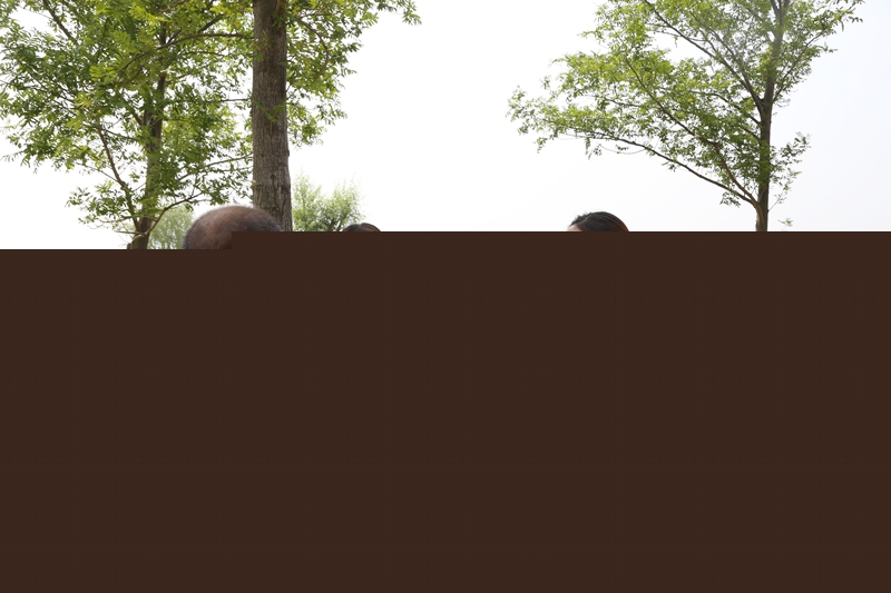 3.合議庭評議.jpg